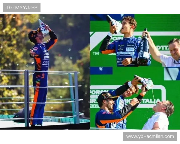 专家点评：赛后分析与未来趋势，赛后集锦