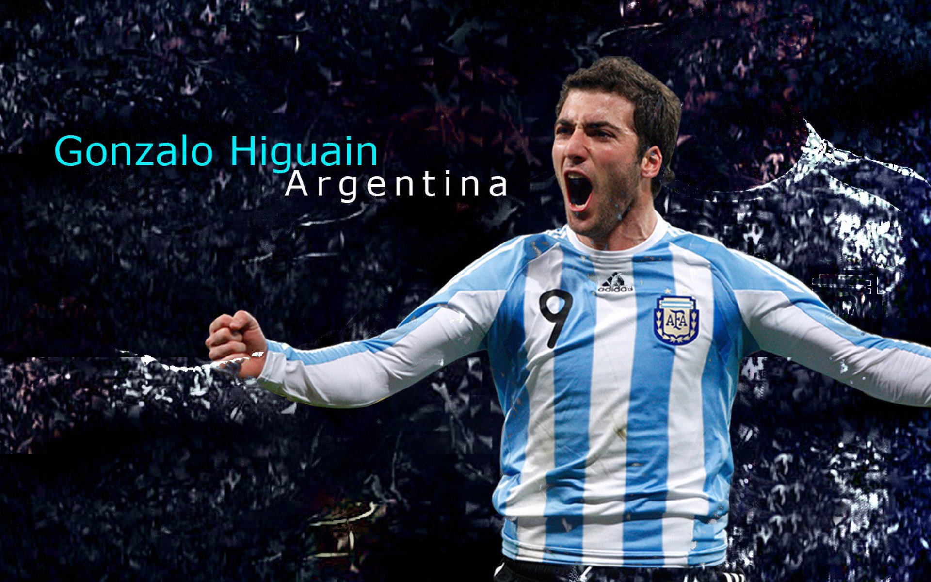 本周全球体育热点